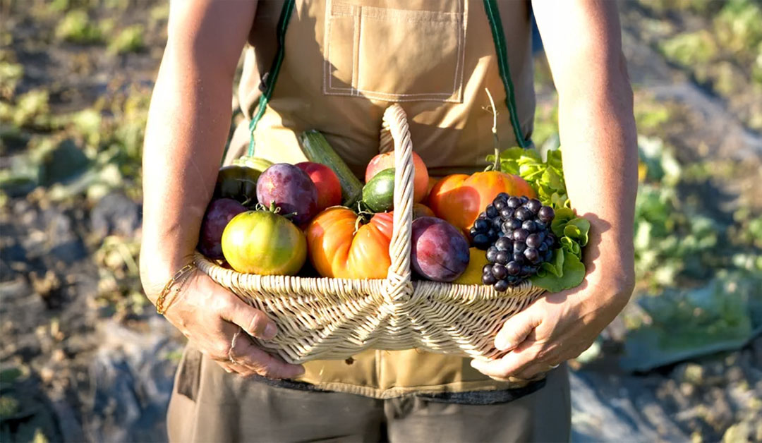Un appel à porter du fruit