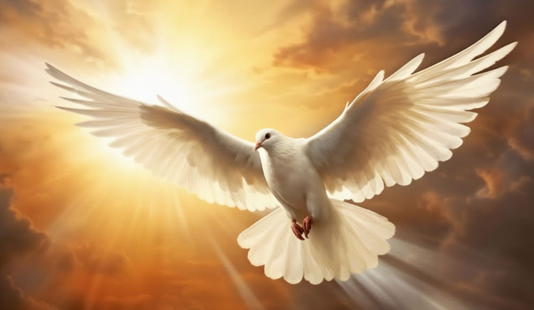 Chemin éclairé par la lumière du matin, symbole du chemin de sainteté et de pauvreté féconde