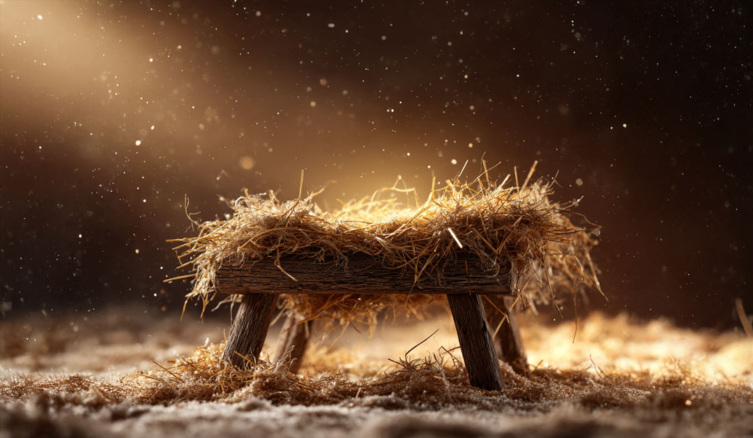 Sa Venue attend un berceau ! – Évangile du jour et méditation du dimanche 30 novembre 2025