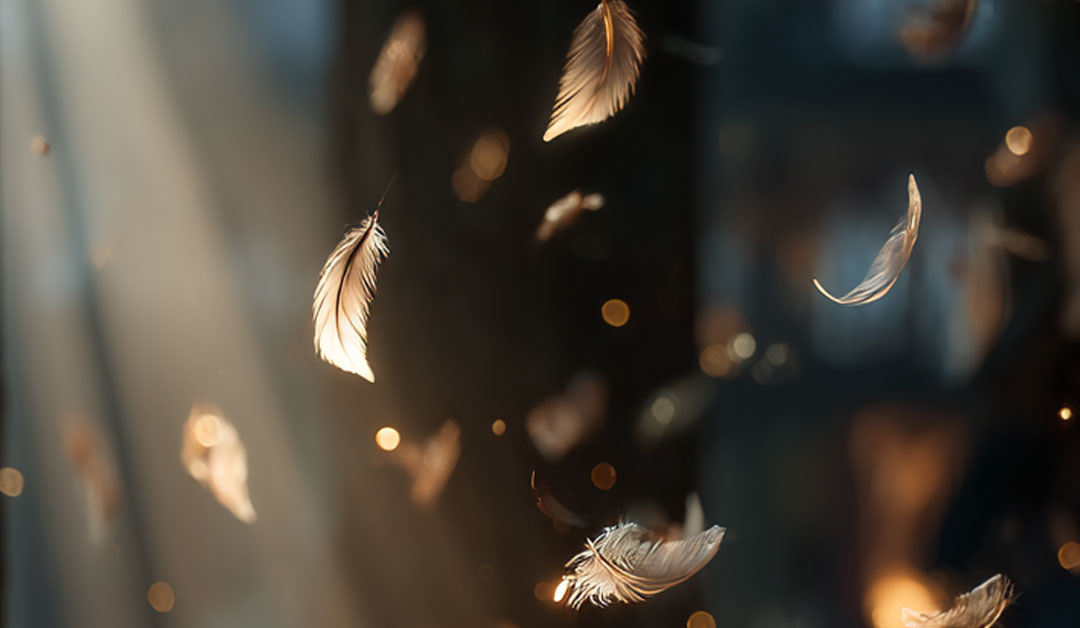 Entrer dans la danse de Dieu – Évangile du jour et méditation du vendredi 12 décembre 2025