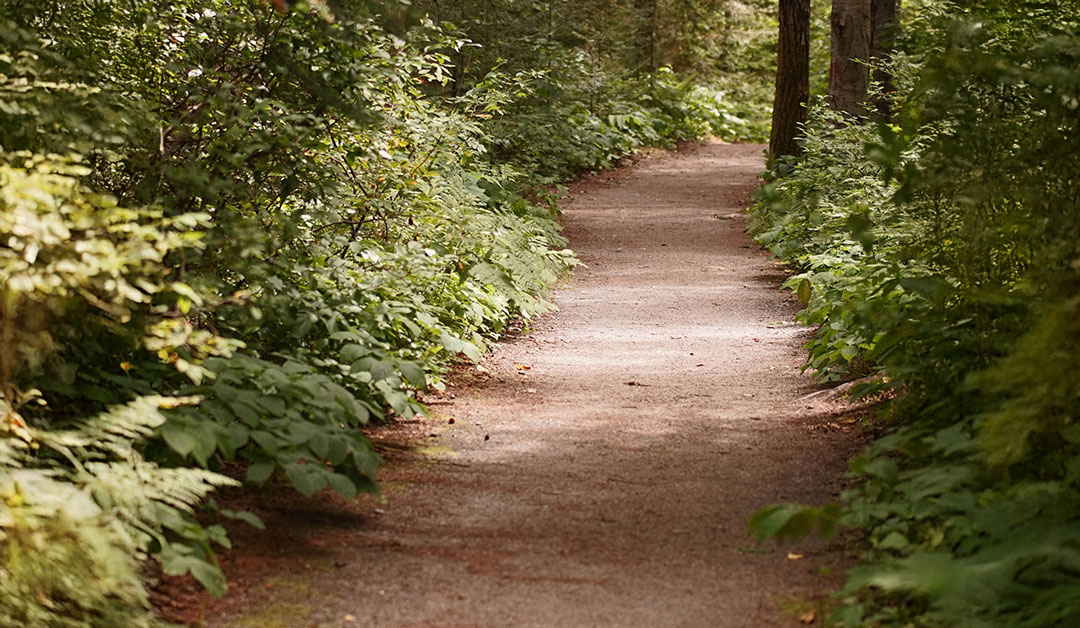 À propos d'Évangélisation des profondeurs