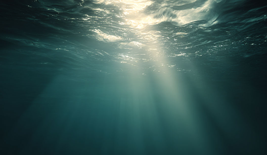 Quand Dieu plonge dans notre vie – Méditation du dimanche 11 janvier 2026