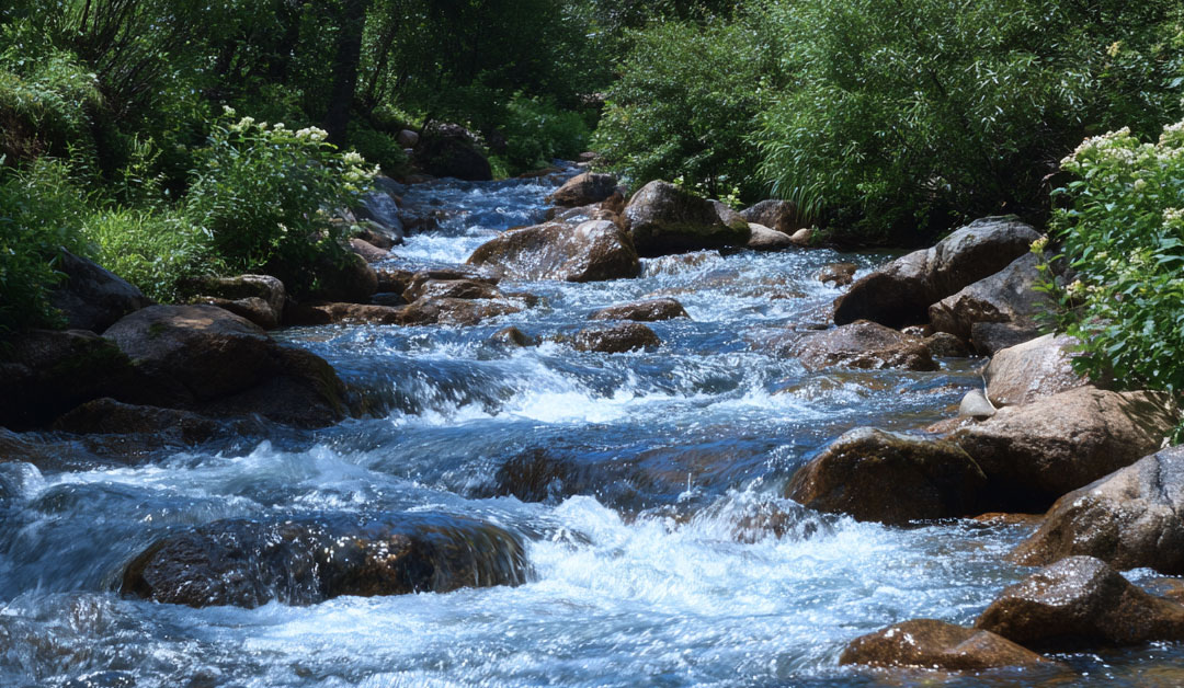 Le grand écart – Méditation du jeudi 26 mars 2026