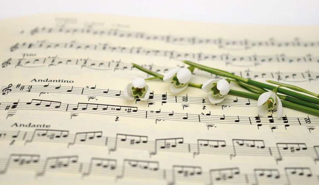 Des fleurs sur une partition musicale